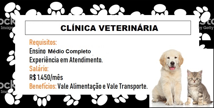 Contrata Auxiliar de Veterinária das 07 ás 13 (6 Horas).